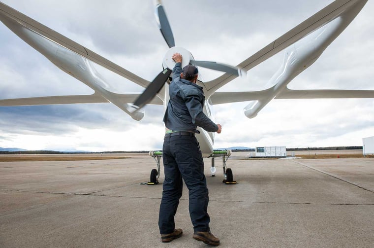 aaron-patting-ALIA-prop