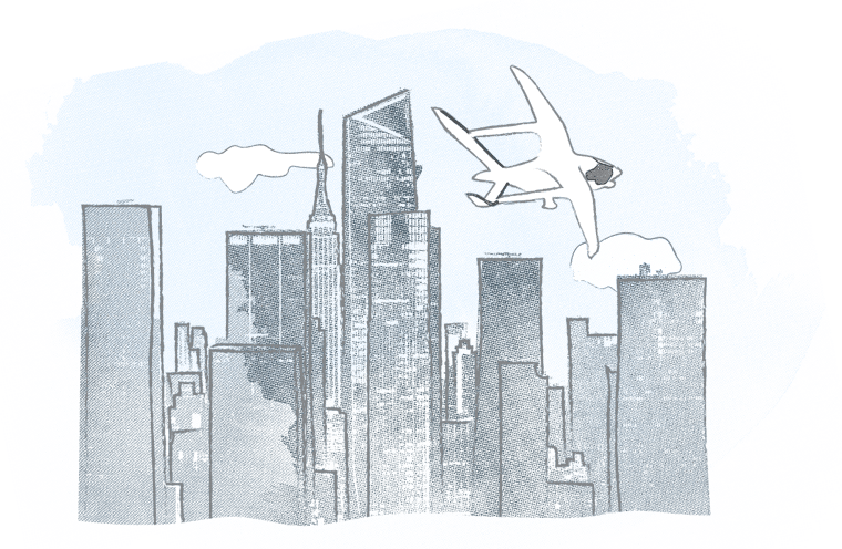 A sketch of ALIA over NYC